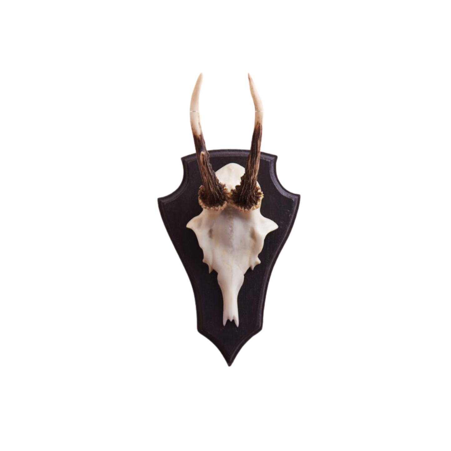 Antler Trophy Reproduction