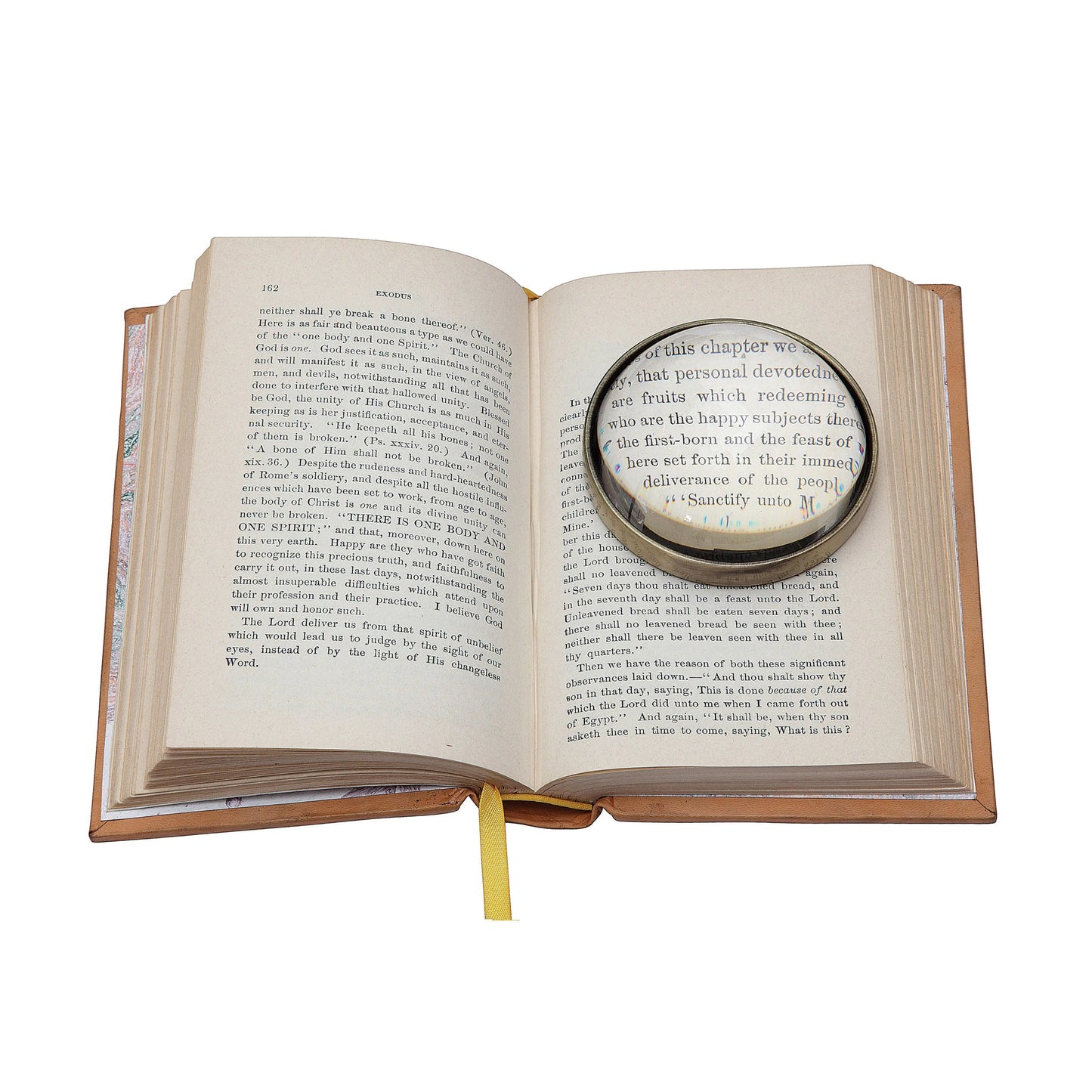 Magnifying Paperweight