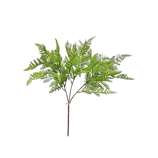 Fern Spray