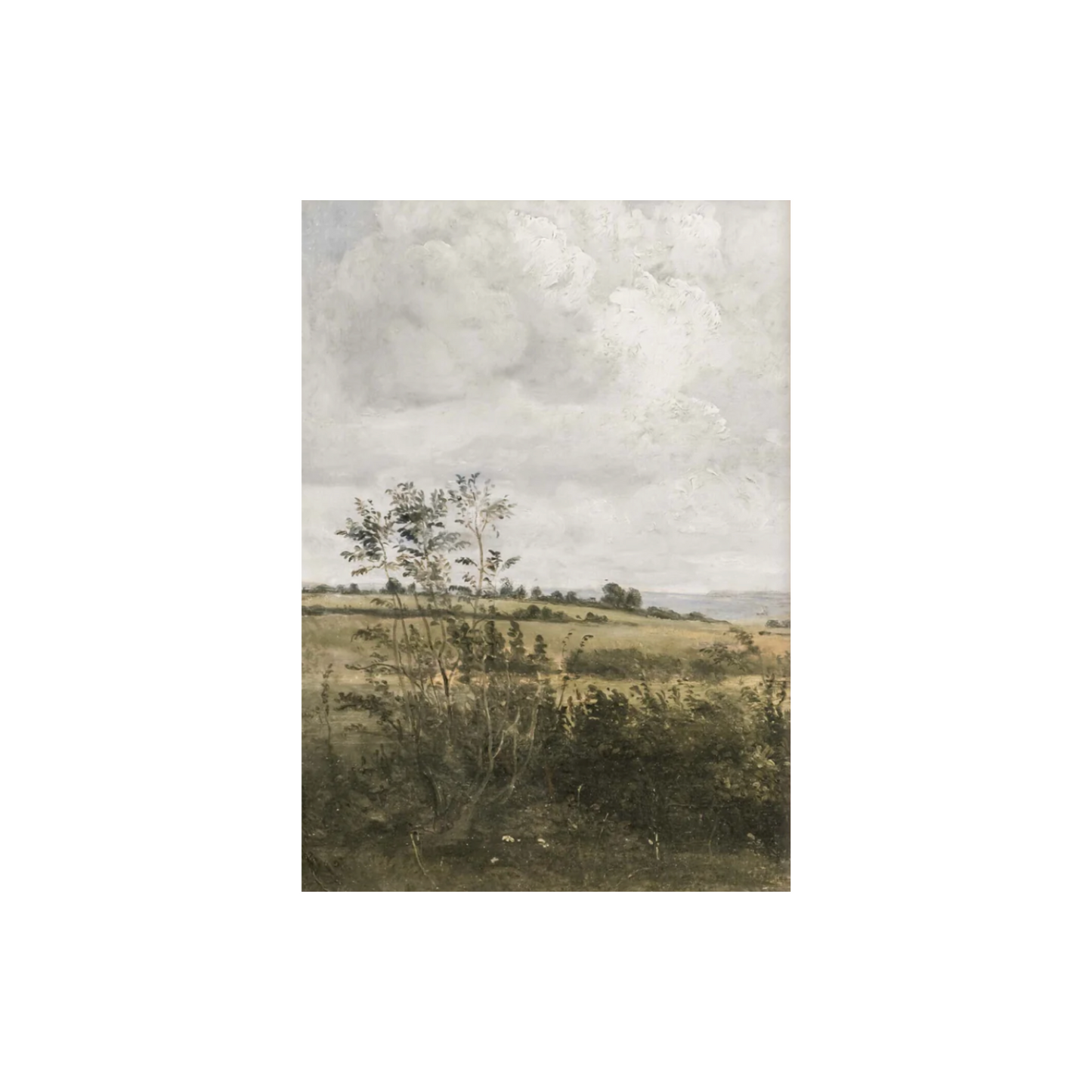 Vintage Art Print - Open Fields