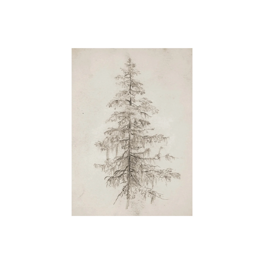 Vintage Art Print - Tree Sketch