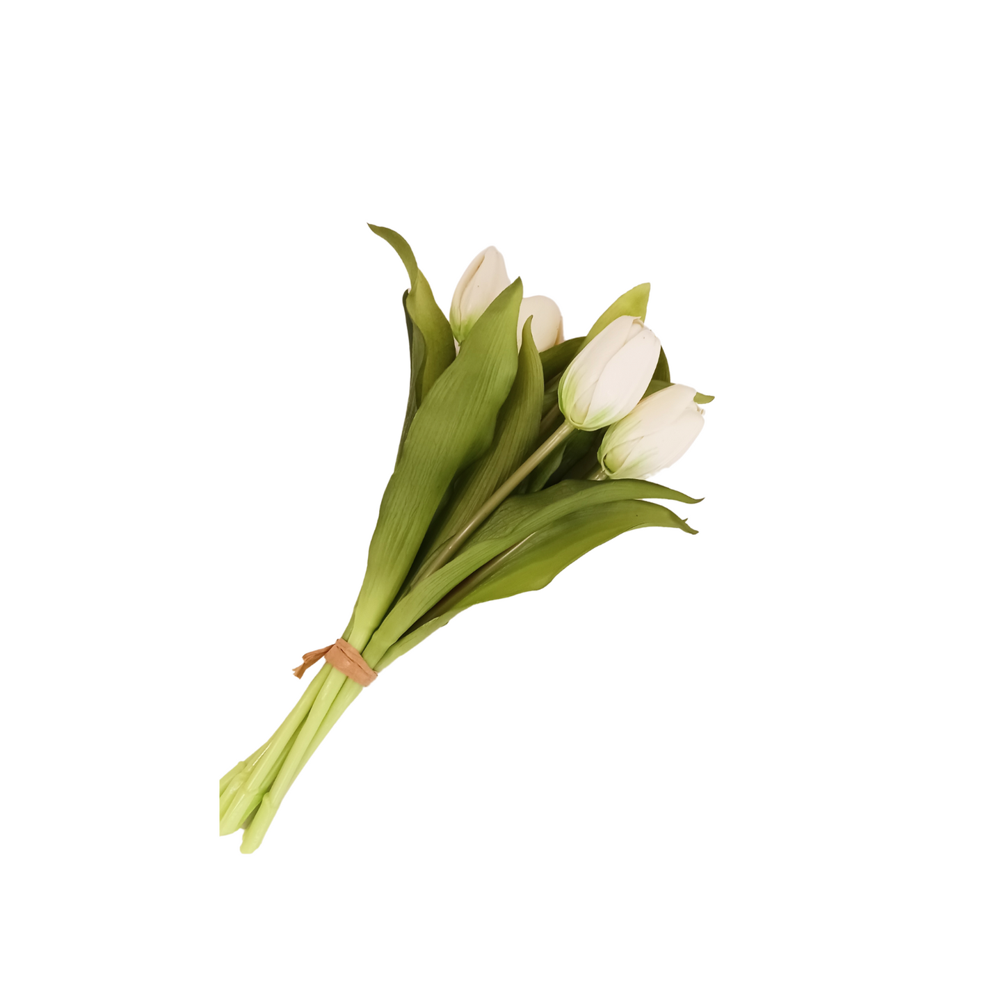 Tulip Bundle - White